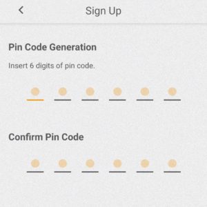 Set a 6 digits pincode